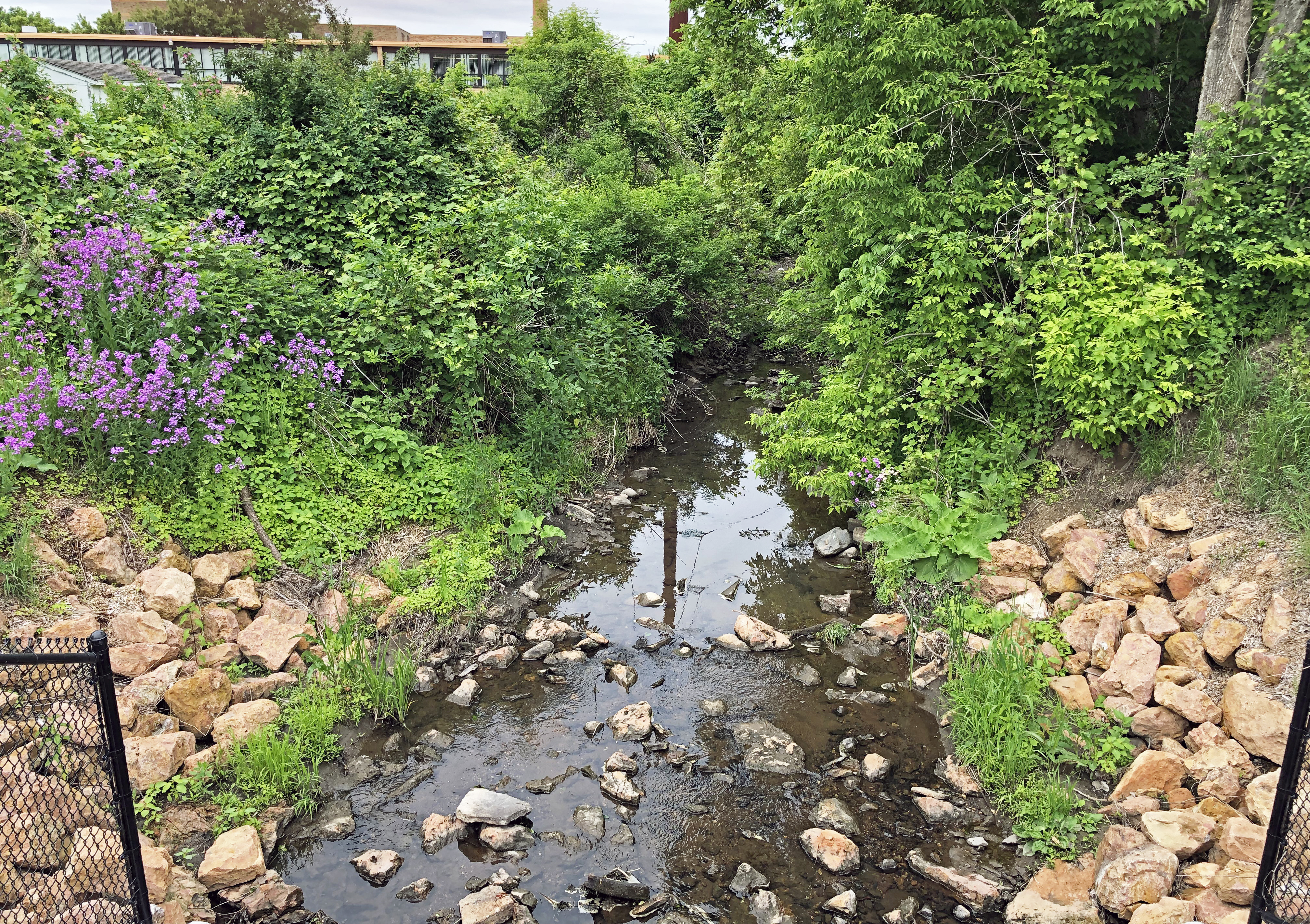 A view of the restored East Chaska Creek after construction